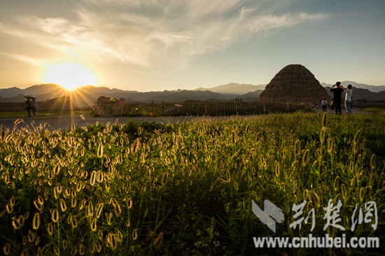 DSC_5613_副本.jpg DSC_5613_副本.jpg