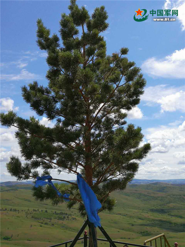 �й�����̽�ð���ɽ������վ������������