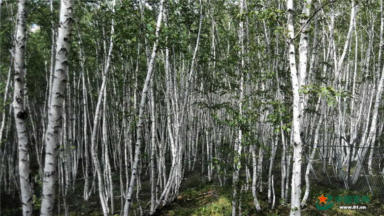 �й�����̽�ð���ɽ������վ������������