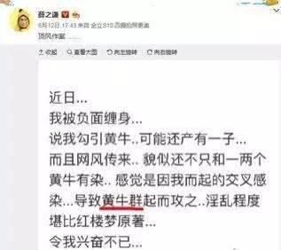 薛之谦演唱会退票损失多少钱 W020170925593332916899.jpg