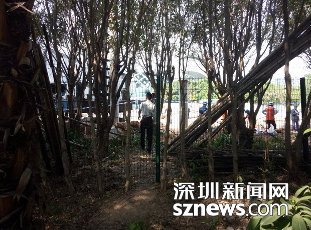 深圳:工地打穿地铁隧道 列车车头被撞画面曝光