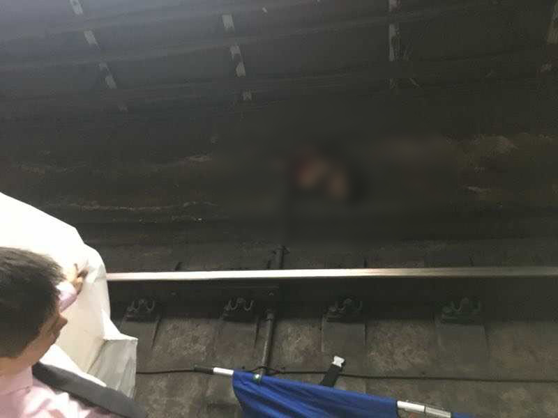 上海地铁男子跳轨被碾压身亡 司机乘客都吓呆