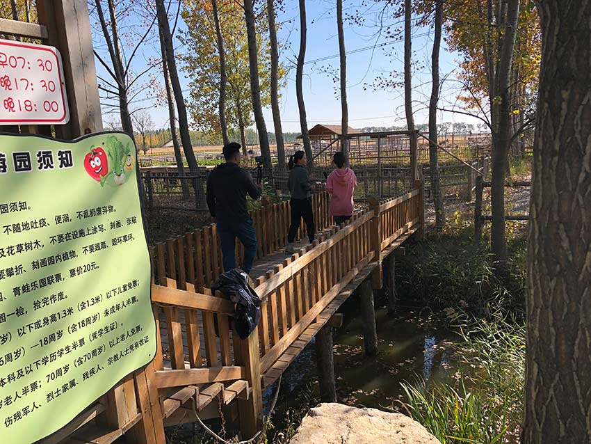 ������塤����ʯ���Ӵ壺���ߵĵ��ﲩ��ݡ�8��