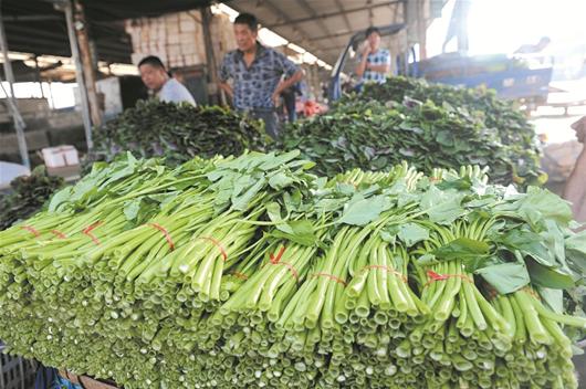 探访武汉三大批发市场:蔬菜批发价贵比去年零售价