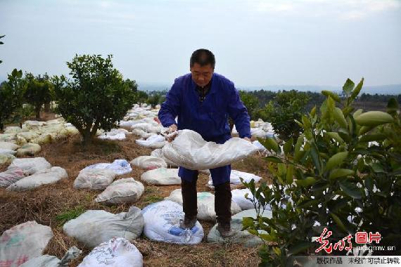 【新常态?光明论】农业供给侧改革：钱袋子鼓了 菜篮子优了