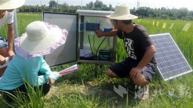 全国示范工程智慧稻田全方位监测氮磷迁移