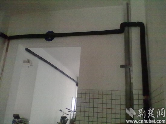 湖北文理学院大学生帮好友代考体能测试猝死图片