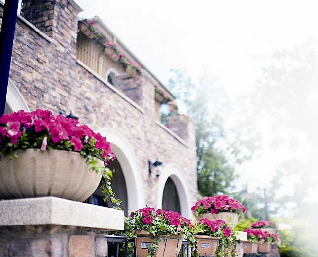 武汉大道观监院任宗权书画精品将于6月1日开