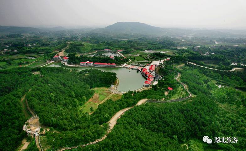 湖北發(fā)布19條茶文化旅游線路 游綠水青山品道地新茶(圖)(圖14)