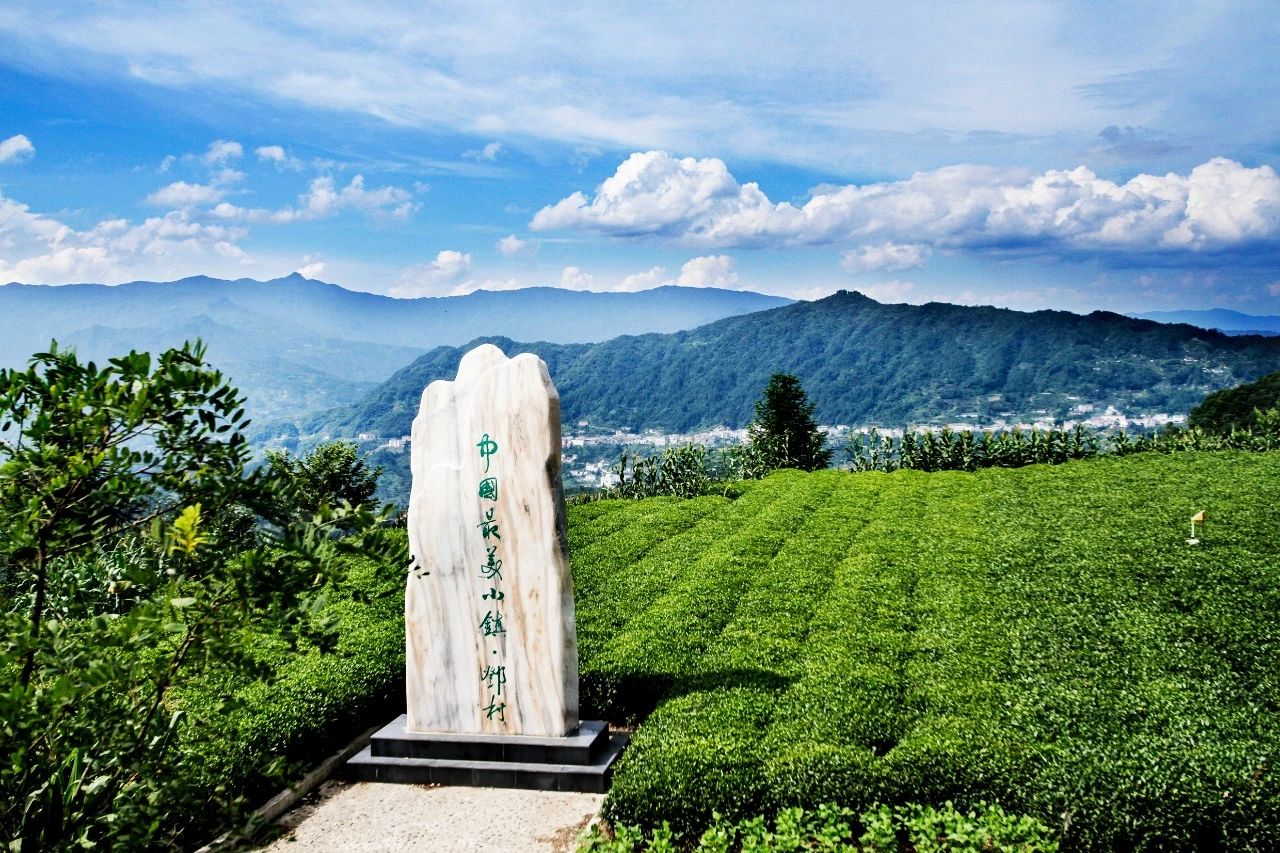 湖北發(fā)布19條茶文化旅游線路 游綠水青山品道地新茶(圖)(圖18)