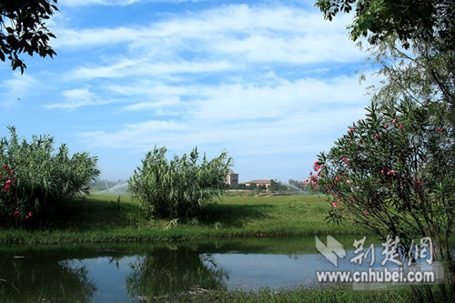 武汉江夏藏龙岛湿地公园通过国家级湿地公园评