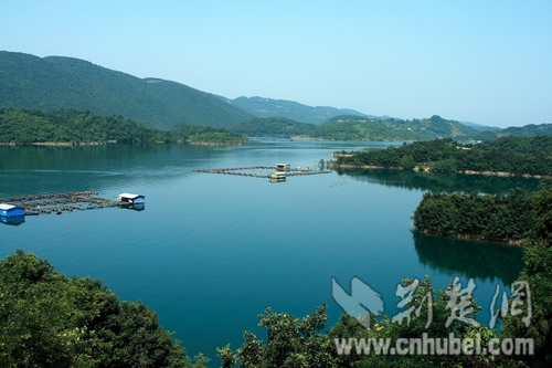 清江鱼是海鲜吗_清江鱼图片大全_海鲜