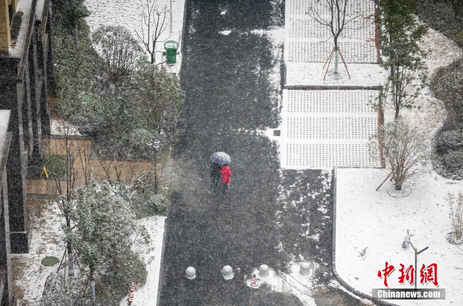 武漢白雪皚皚 整座城成了雪白一片(圖2)