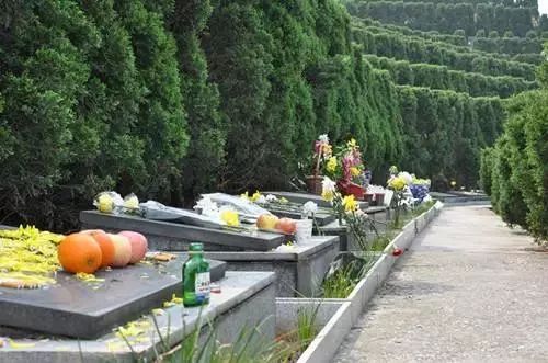 武漢清明前后將迎兩波祭掃高峰 最全掃墓地圖一覽(圖3)