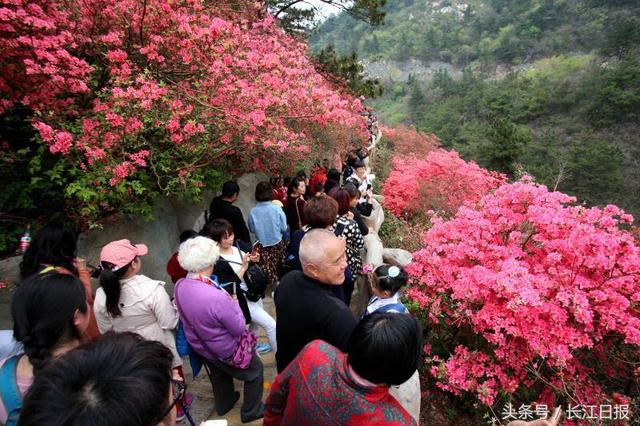 武汉两景区发红色预警：人太多了，请去其他景点(图1)