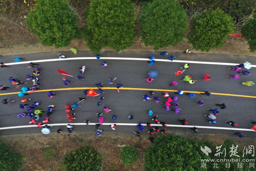 参加2018新洲“山马”的选手们在新洲“最美公路”奔走。摄影:邱新明.jpg 参加2018新洲“山马”的选手们在新洲“最美公路”奔走。摄影:邱新明.jpg