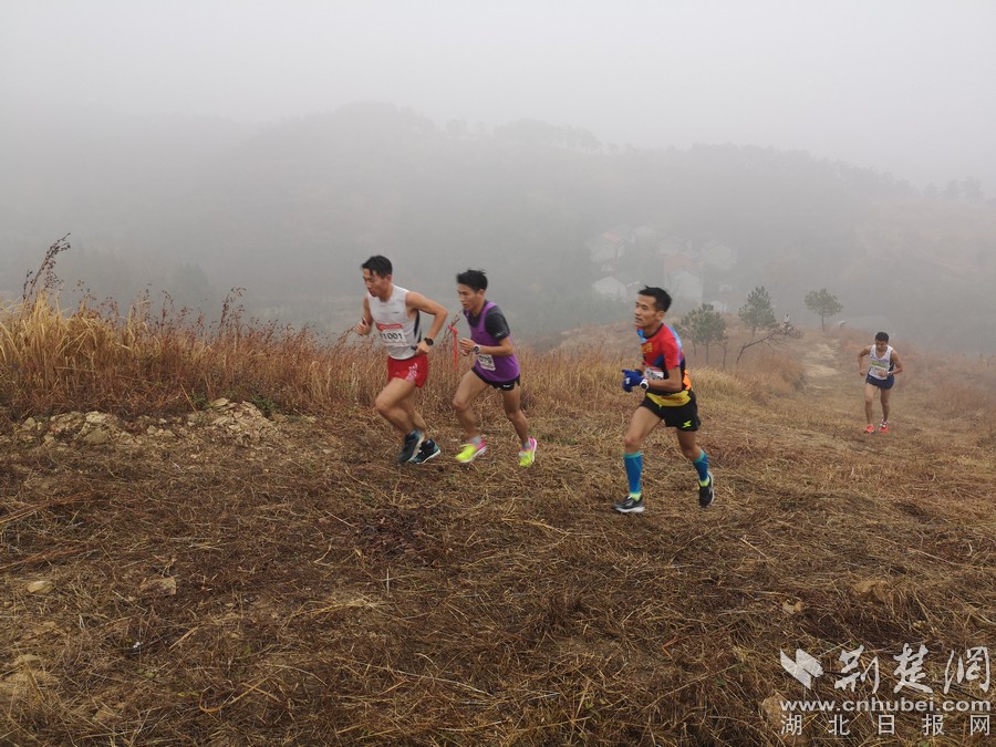 选手们登山过岭,一路跑步前行。摄影:沈雷平.jpg 选手们登山过岭,一路跑步前行。摄影:沈雷平.jpg