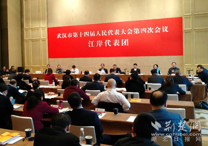 2019武汉两会:各区代表团审议政府工作报告(组
