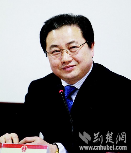 新洲区委书记王世益