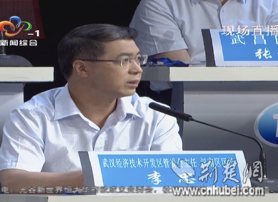 武汉经济开发区管委会主任,汉南区区长李忠回答问题