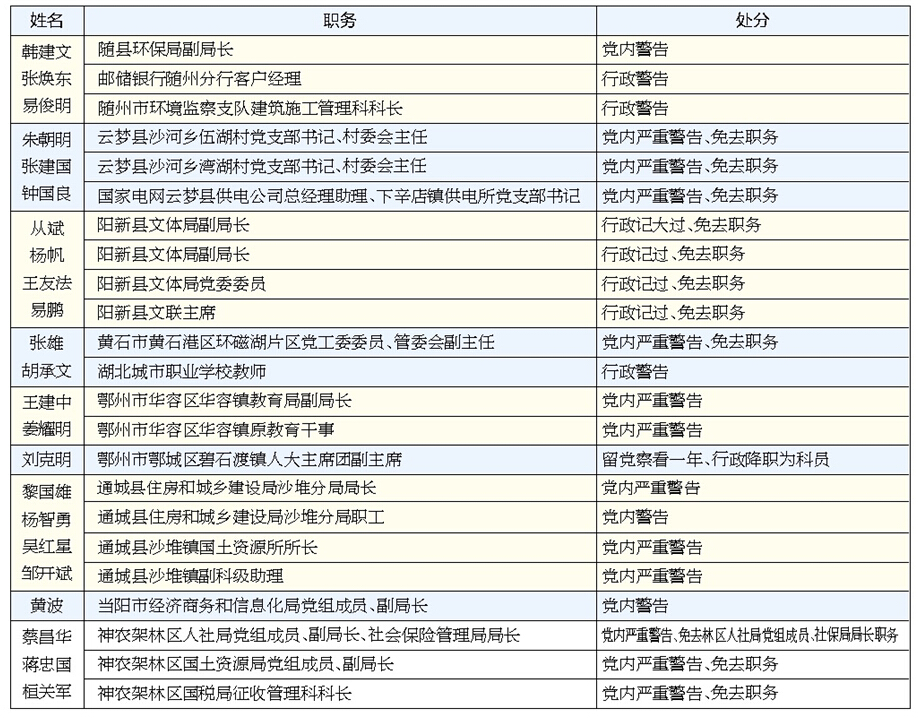 党员问题整改清单