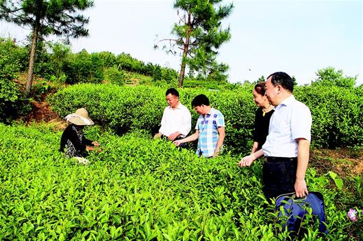 湖北省今年审计报告聚焦重点突出绩效 各地各