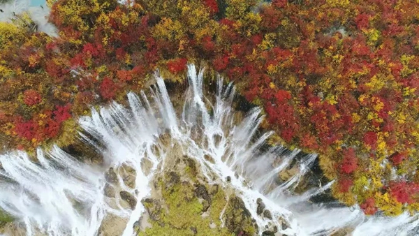 也可能是高山深涧;可能是自然奇景,也可能是至味人间 诺日朗瀑布