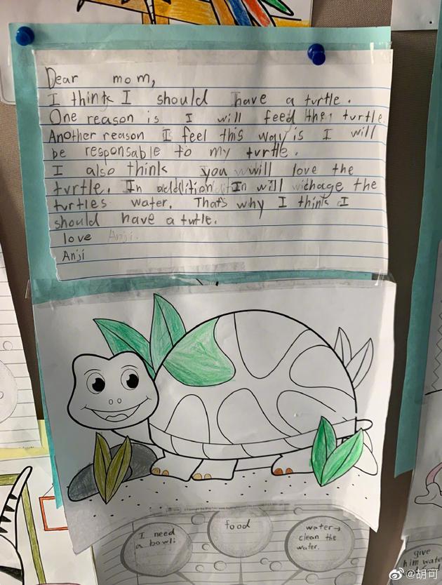 胡可发现安吉英文手写信 儿子想养乌龟字体很呆萌