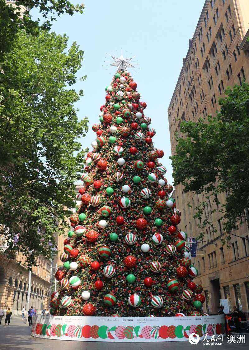 马丁广场的圣诞树 (摄影 任孟琳)悉尼市市长克劳馥·摩尔与表演者合照
