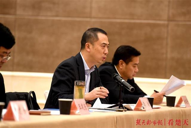 武汉市人大代表李洵建设新一线城市指日可待