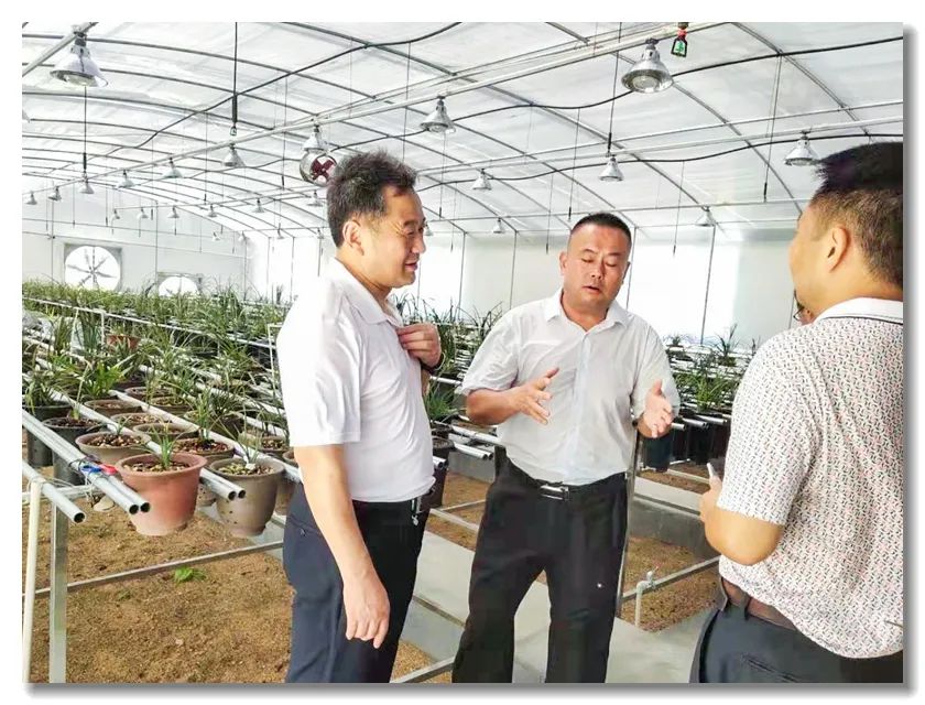 黄冈市政协秘书长黄智敏(左一)在居建新的兰花馆视察.