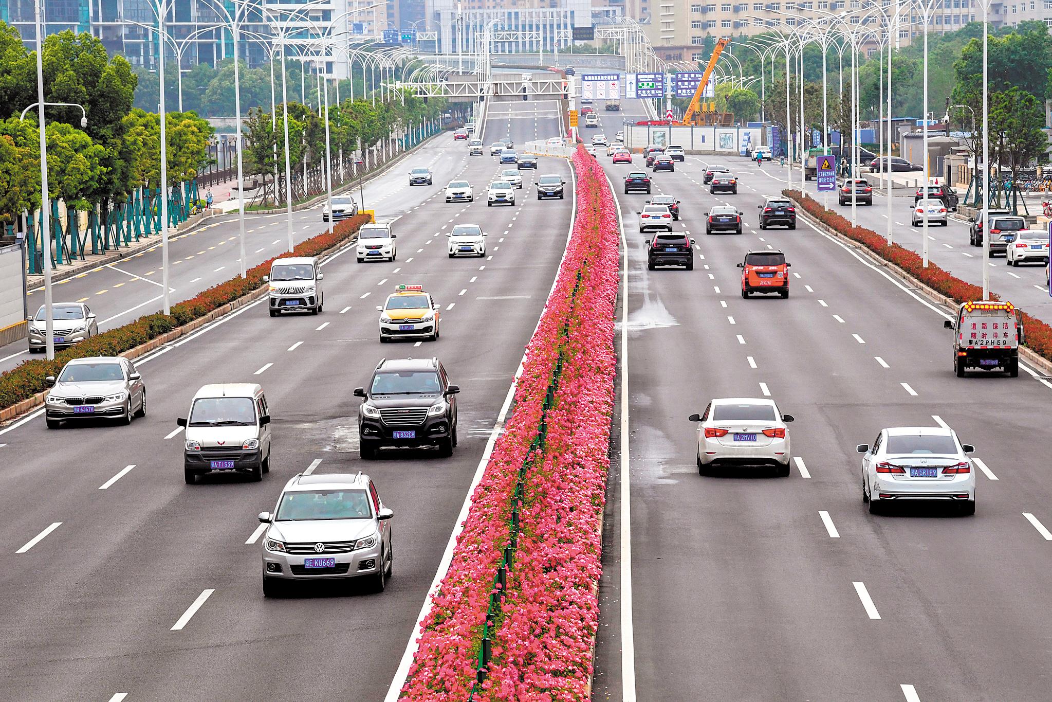 花径车流活力武汉图