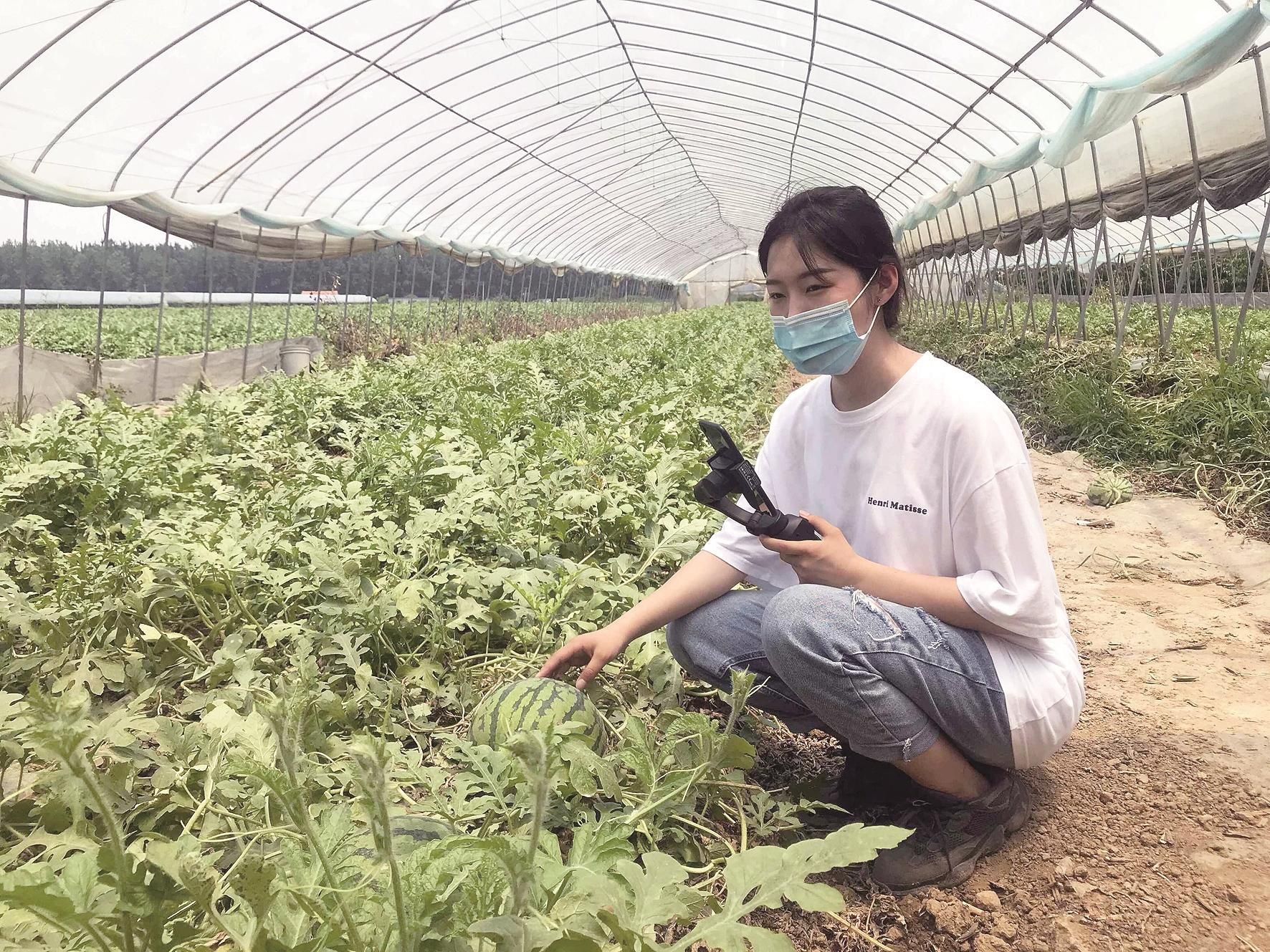 拍视频为乡亲卖出西瓜十万斤武汉女大学生直播带货带出一片天