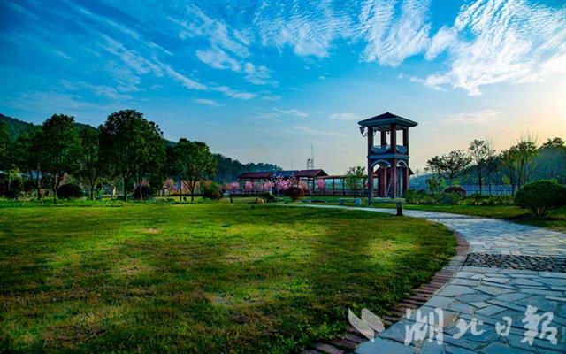 周末又添好去处!我省四家森林康养基地入选"国家队"