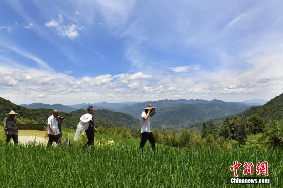 永泰县洑口乡吉坑村图片