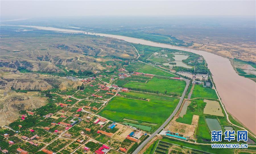 内蒙古托克托县:黄河两岸披绿装
