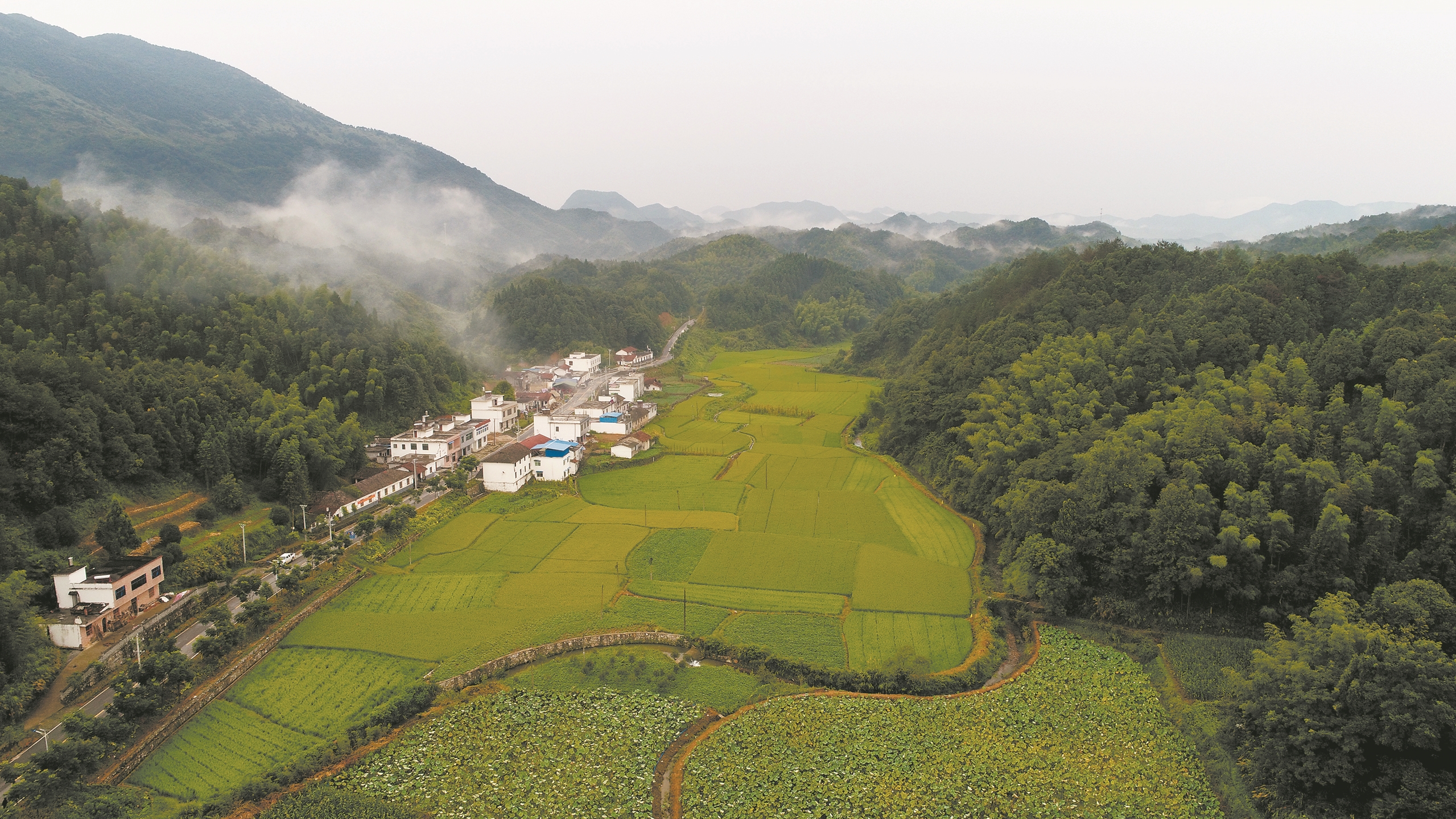 7个村庄获评国家森林乡村