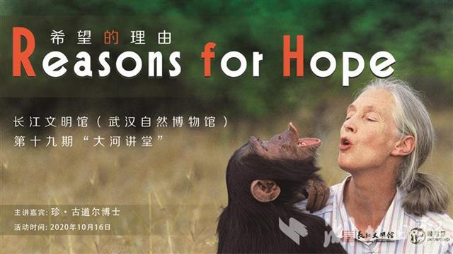 约起!今晚7时,听著名动物学家珍·古道尔讲述她与黑猩猩的故事