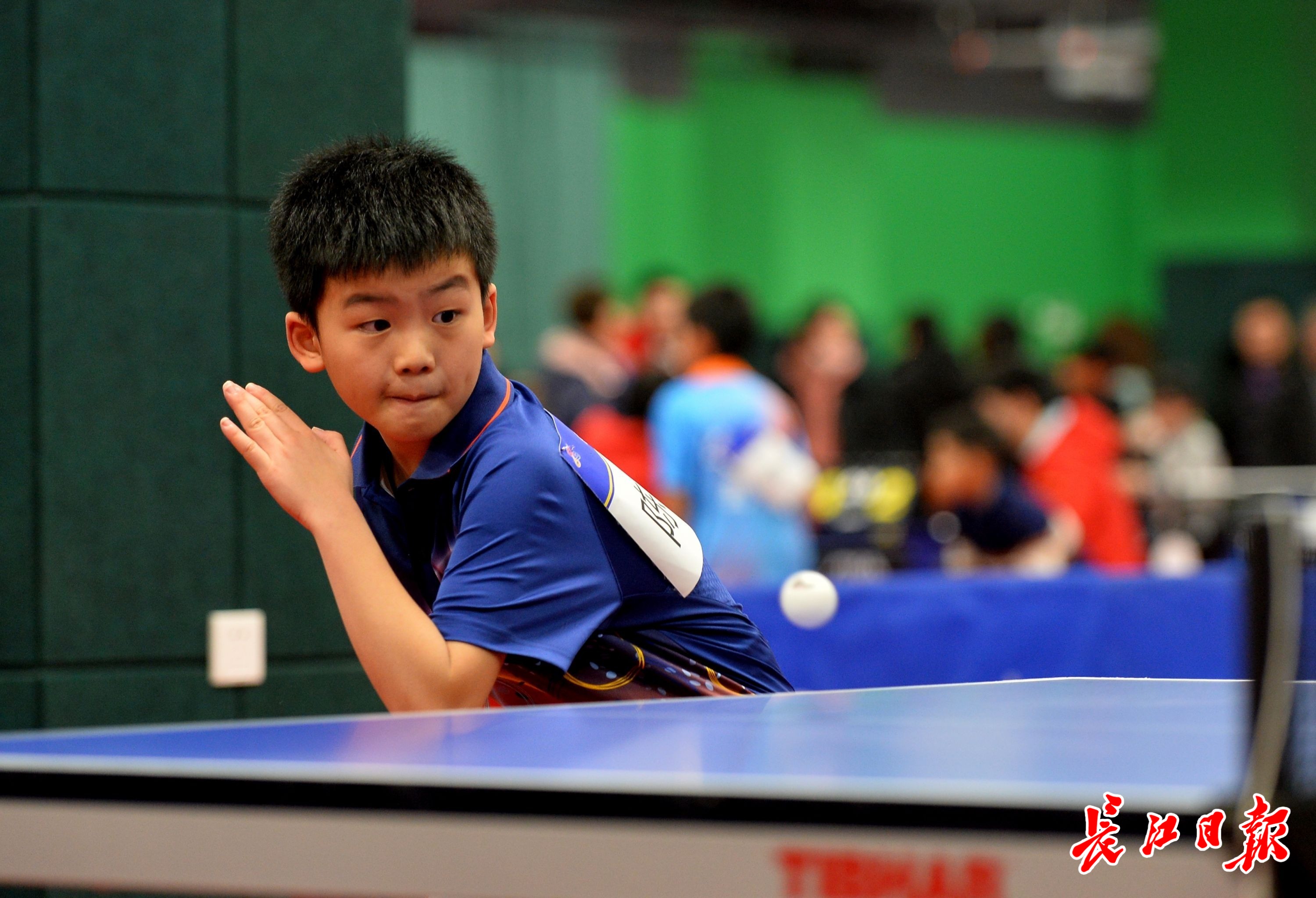 武汉这届乒乓小将有冲劲!细数他们的亮眼成绩