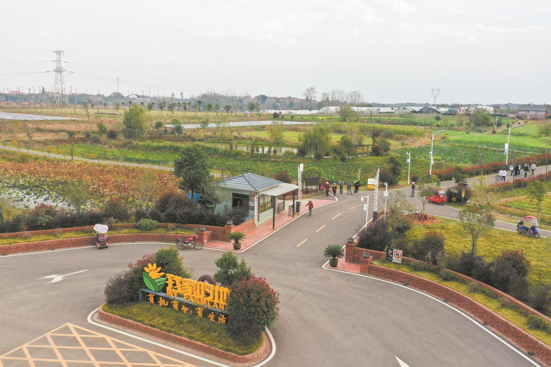 海归女博士演绎新时代田园牧歌:农民领工资上班 菜地种成精致花园(图)