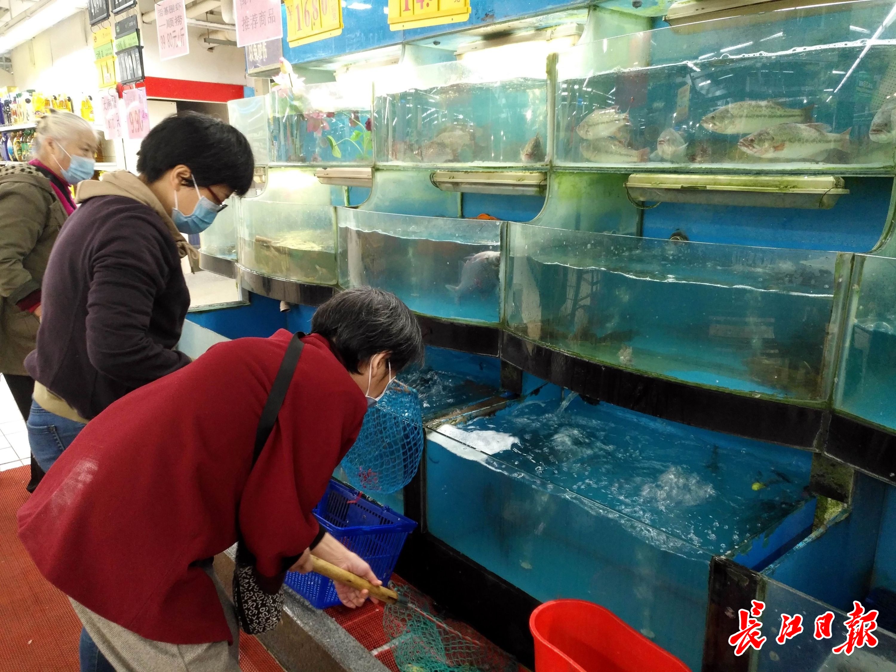 长江日报-长江网记者走访江城菜市场发现,秋冬季淡水鱼已经上市,市场