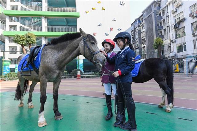 水果湖一小图片