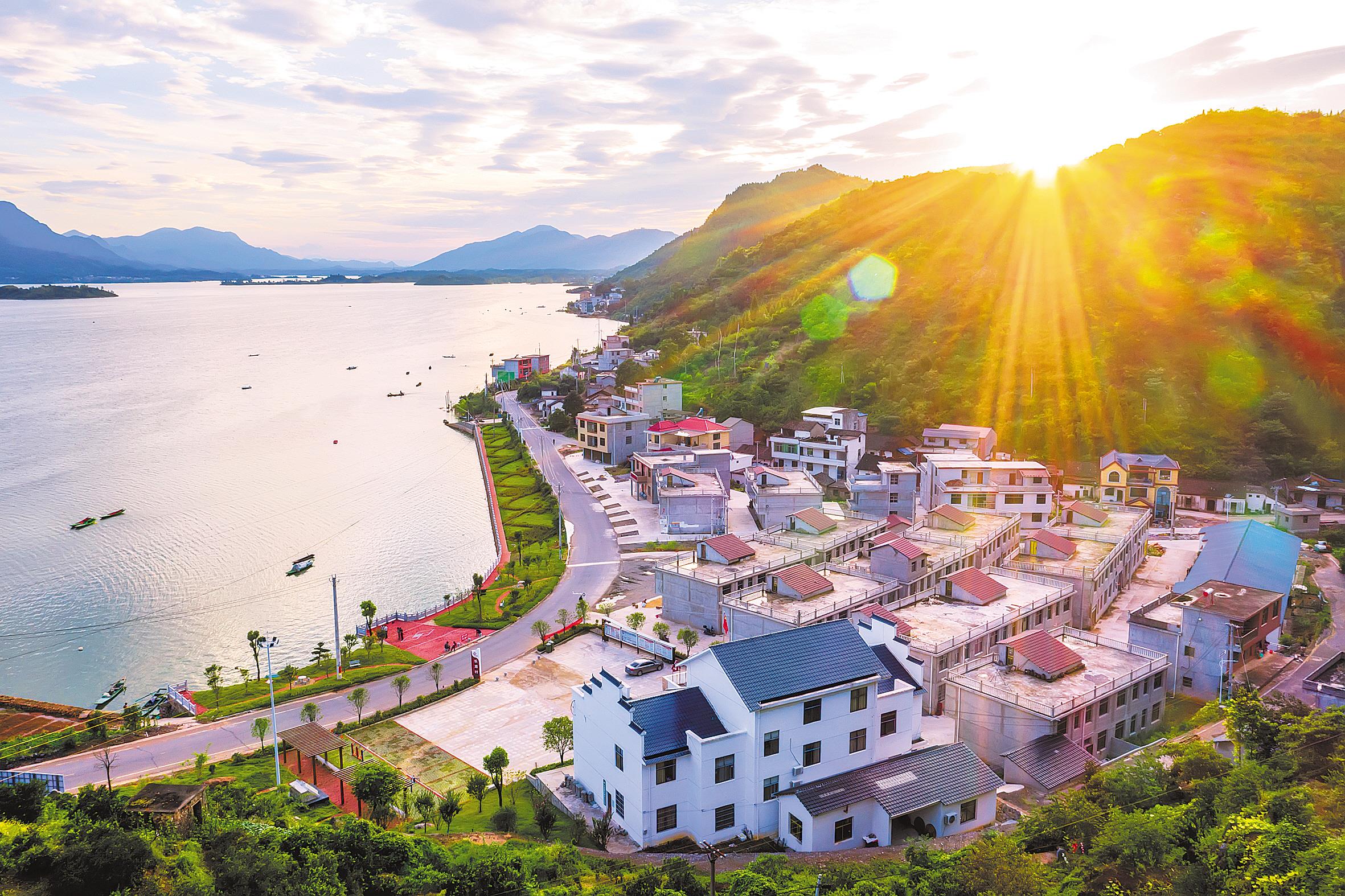 荆楚网>新闻频道>湖北日报阳新县枫林镇坳上村花卉苗木基地,村民们