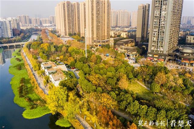 这里有好多足球场蓝球场!巡司河体育生态公园完工