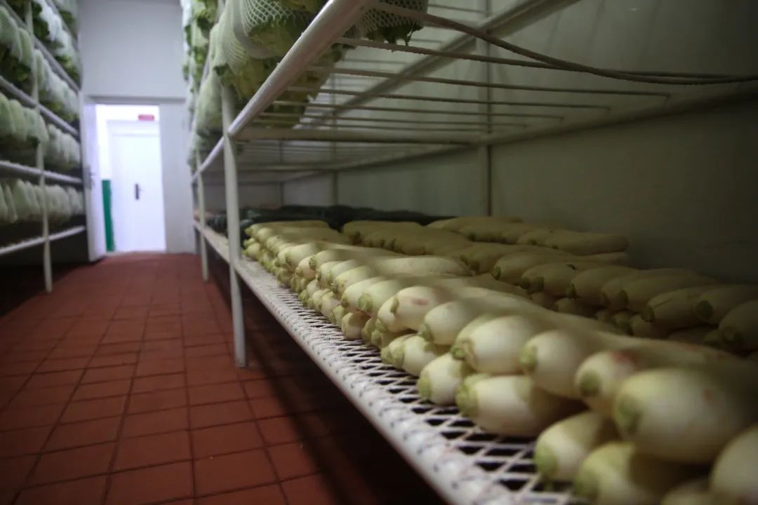 治愈强迫症!兵哥哥的菜窖,也太整齐了吧