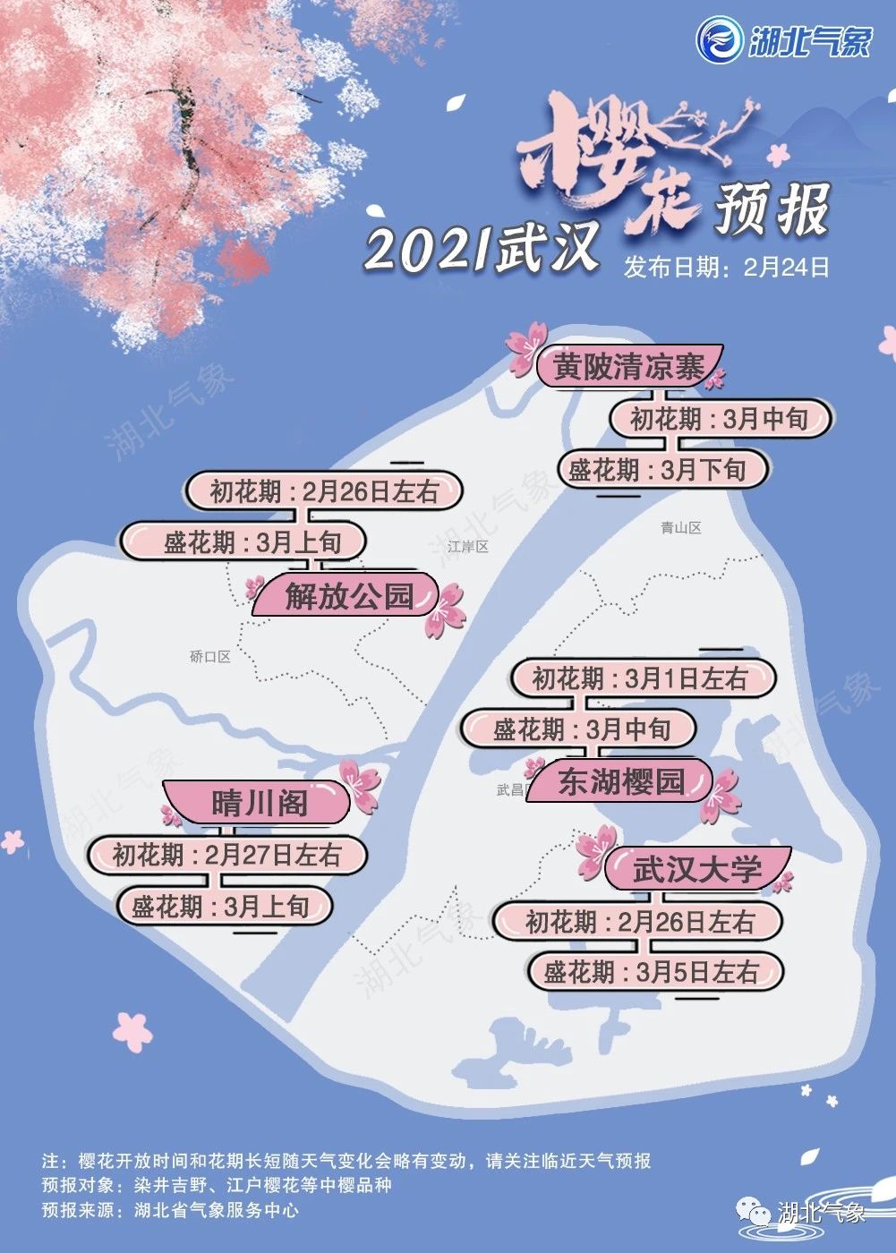 性的踏青活动——赏樱,已经备受关注,武汉大学,汉口江滩等地部分樱花