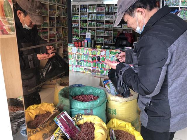 餐桌消费升级悄然改变春耕种子市场——过去追高产 现在求优质