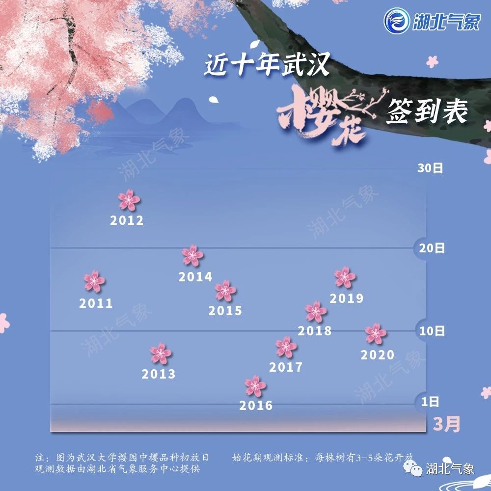 性的踏青活动——赏樱,已经备受关注,武汉大学,汉口江滩等地部分樱花