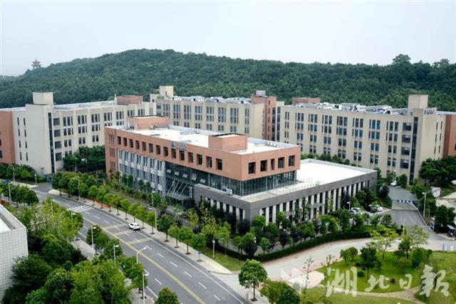 药明康德,猿辅导同日动工 光谷两大总部项目投资达60亿元