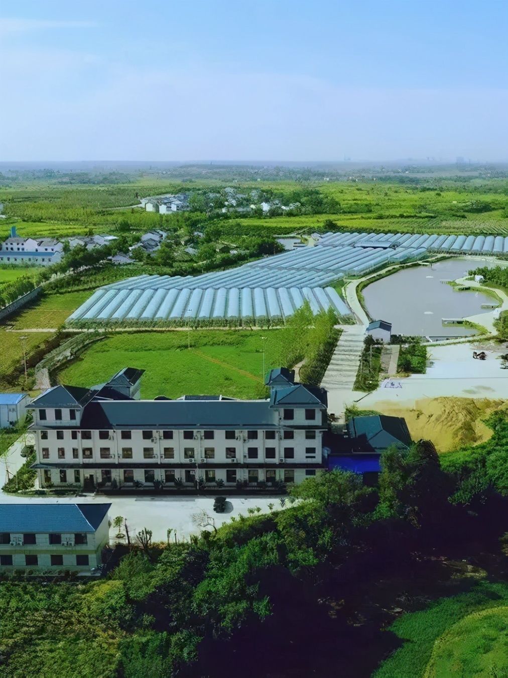 孝昌王店镇党委书记胡忠文:做好"领头雁" 激发乡村振兴澎湃动能